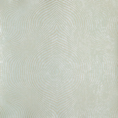 The ReBorn House TRH51279 Wallpaper in frost mint, colorway TRH51279.G, swatch