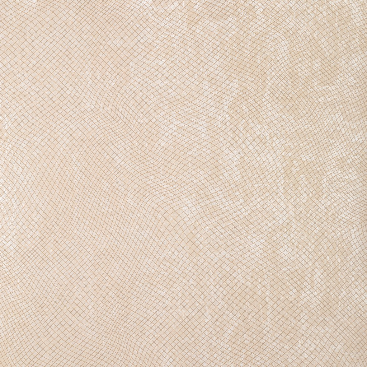 The ReBorn House TRH51281 Wallpaper in gold, colorway TRH51281.B, swatch