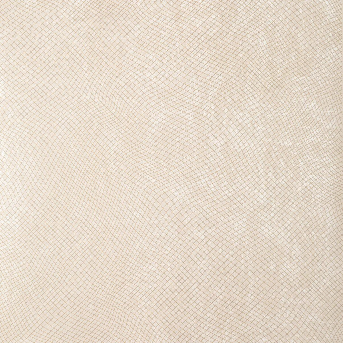 The ReBorn House TRH51281 Wallpaper in white, colorway TRH51281.E, swatch