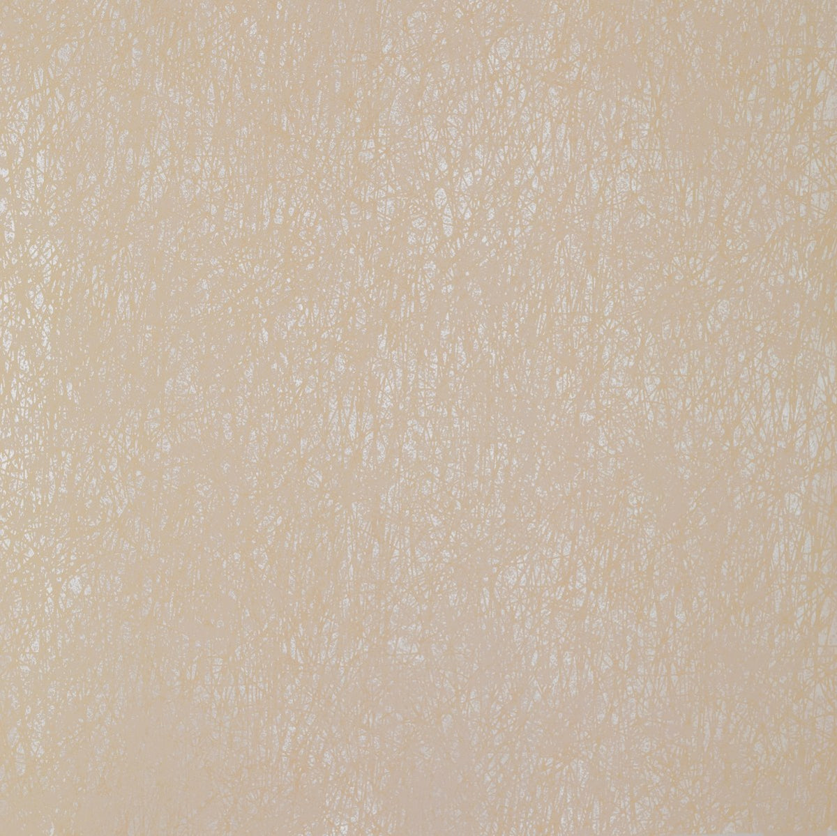 The ReBorn House TRH51283 Wallpaper in white, colorway TRH51283.C, swatch