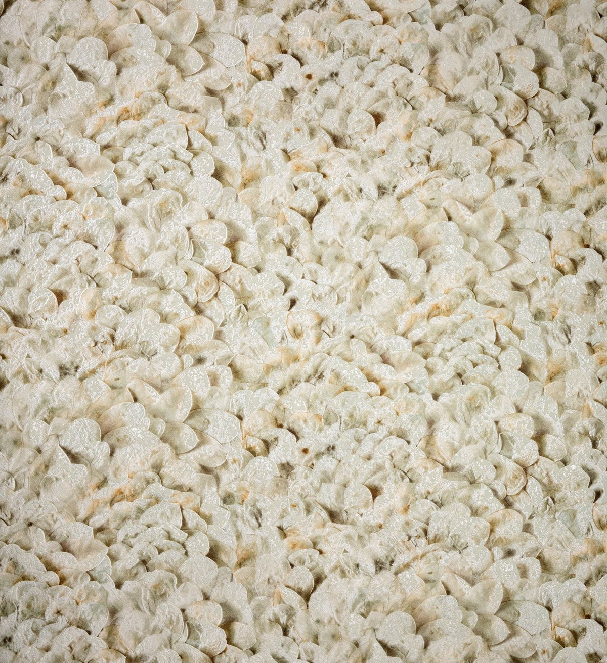 The ReBorn House TRH51404 Wallpaper in neutral, colorway TRH51404.A, swatch