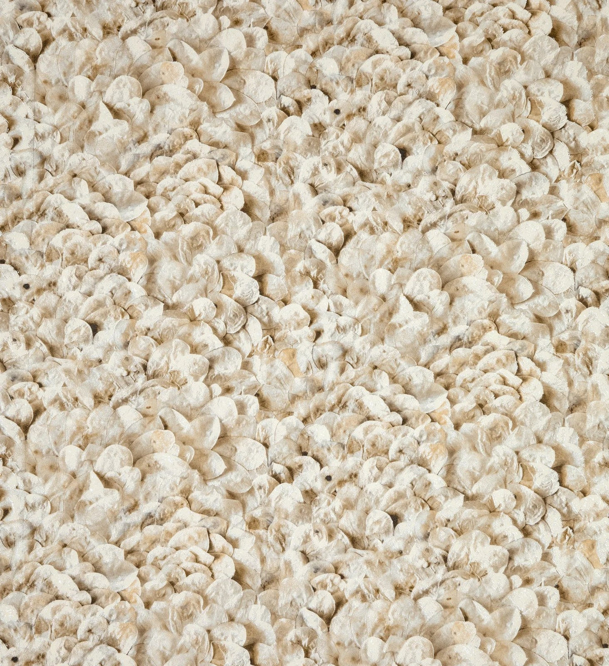 The ReBorn House TRH51405 Wallpaper in neutral, colorway TRH51405.A, swatch
