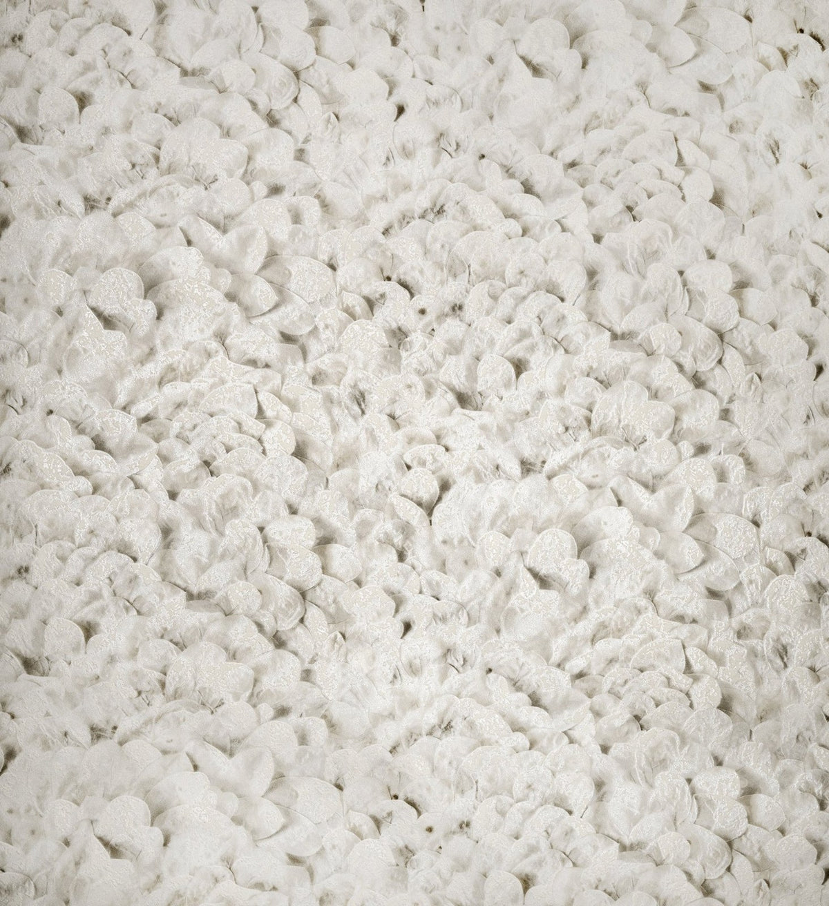 The ReBorn House TRH51407 Wallpaper in grey and white, colorway TRH51407.A, swatch