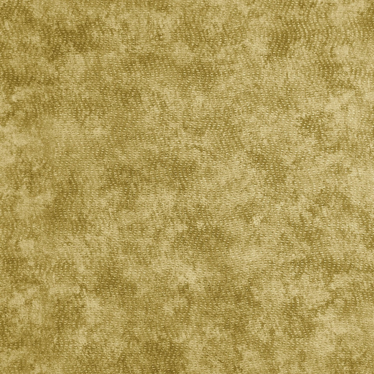 The ReBorn House TRH51505 Wallpaper in gold and yellow, colorway TRH51505.A, swatch