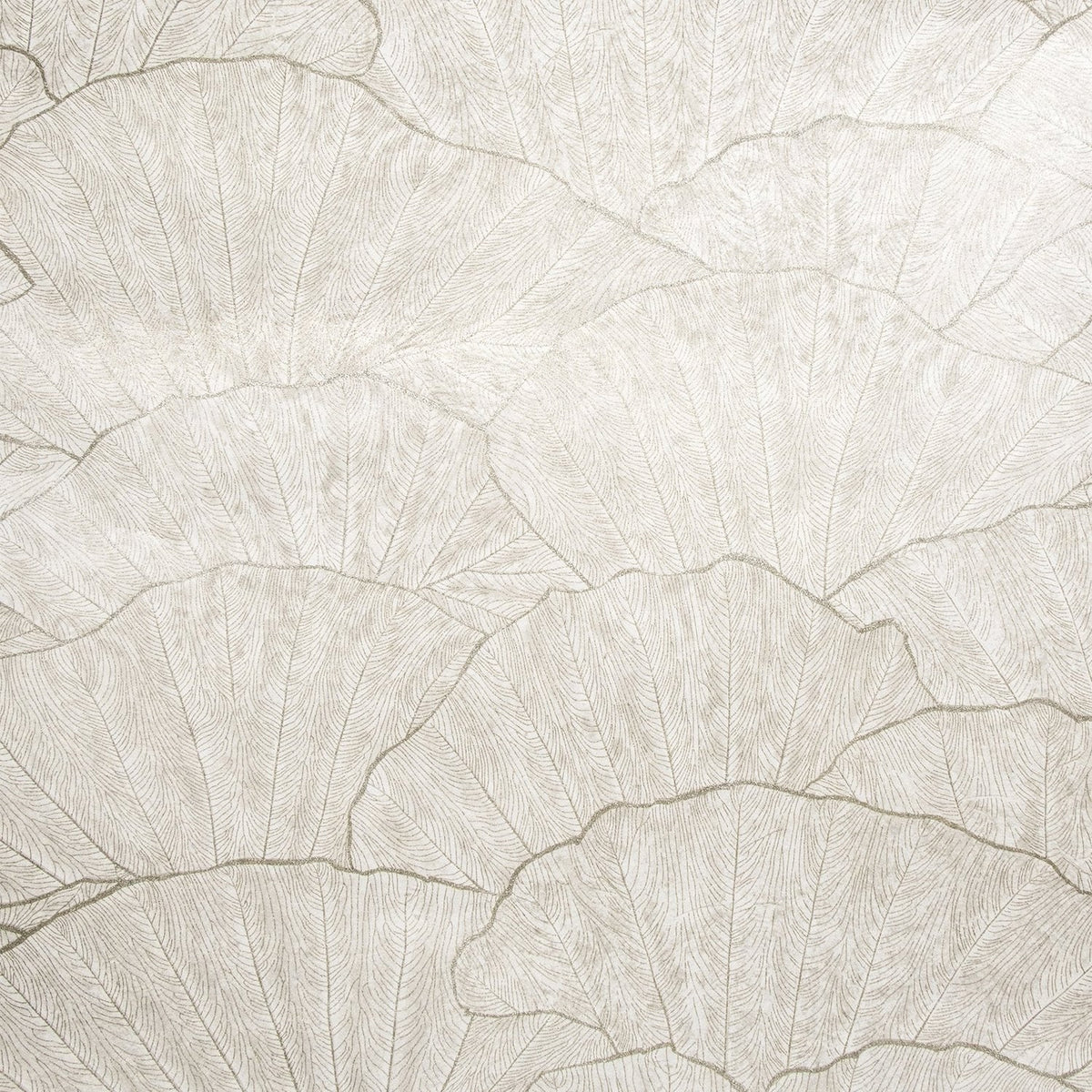 The ReBorn House TRH51536 Wallpaper in white and grey, colorway TRH51536.A, swatch