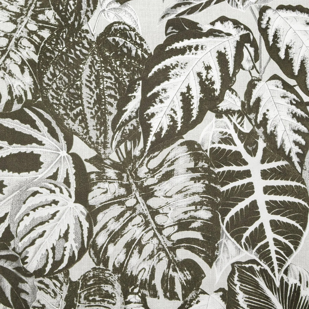 The ReBorn House TRH51557 Wallpaper in brown and white, colorway TRH51557.A, swatch