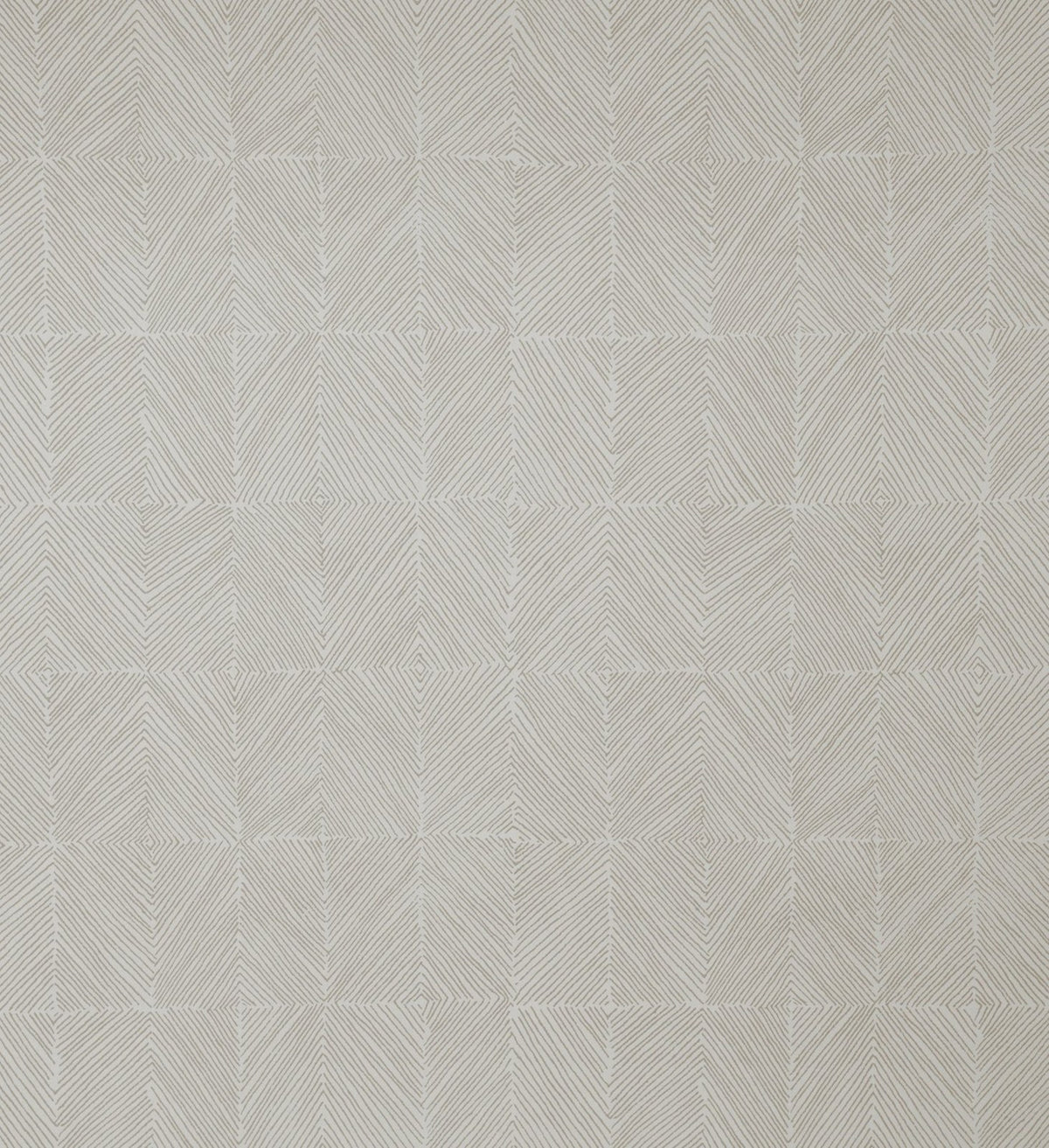 The ReBorn House TRH51580 Wallpaper in grey, colorway TRH51580.A, swatch