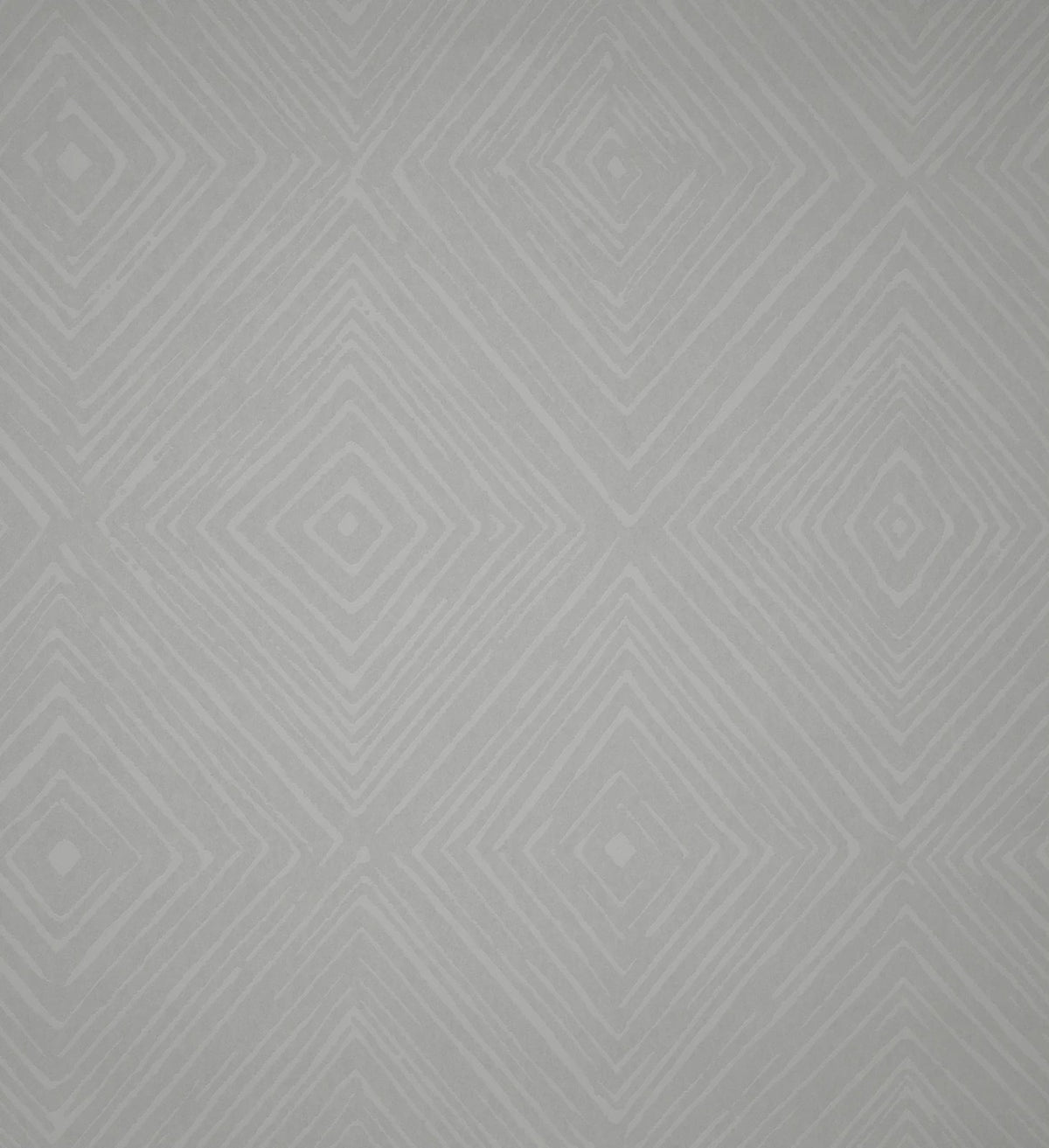 The ReBorn House TRH51587 Wallpaper in grey, colorway TRH51587.A, swatch