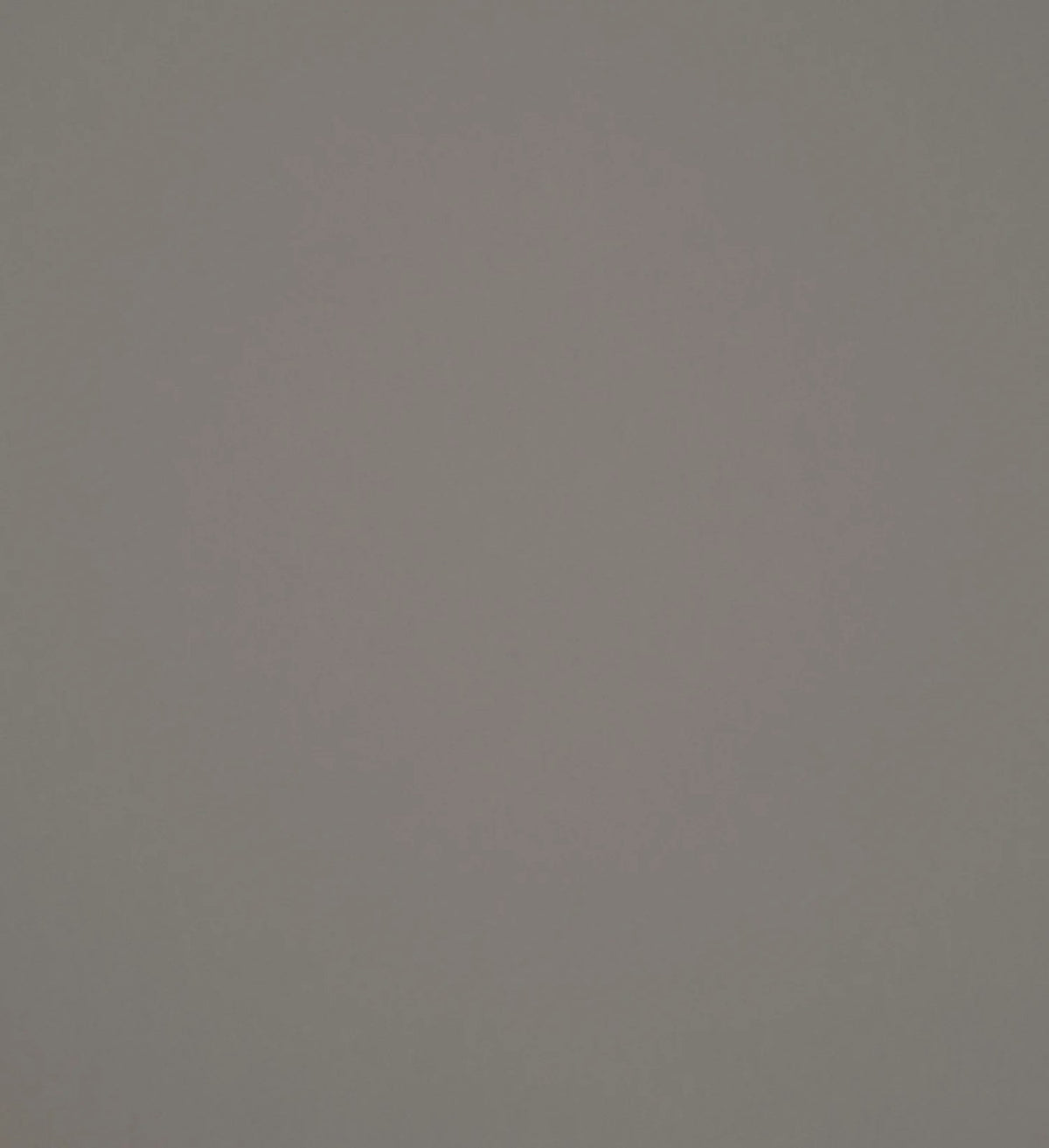 The ReBorn House TRH51602 Wallpaper in grey, colorway TRH51602.A, swatch