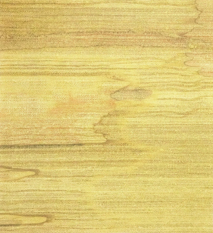 The ReBorn House TRH51620 Wallpaper Mural in yellow, colorway TRH51620.A, swatch