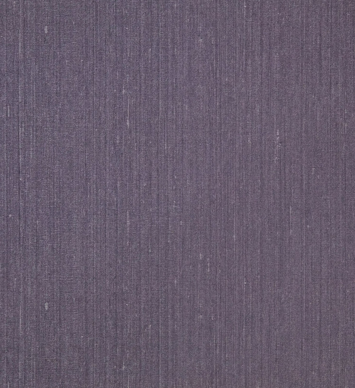 The ReBorn House TRH51623 Wallpaper in grey, colorway TRH51623.M, swatch