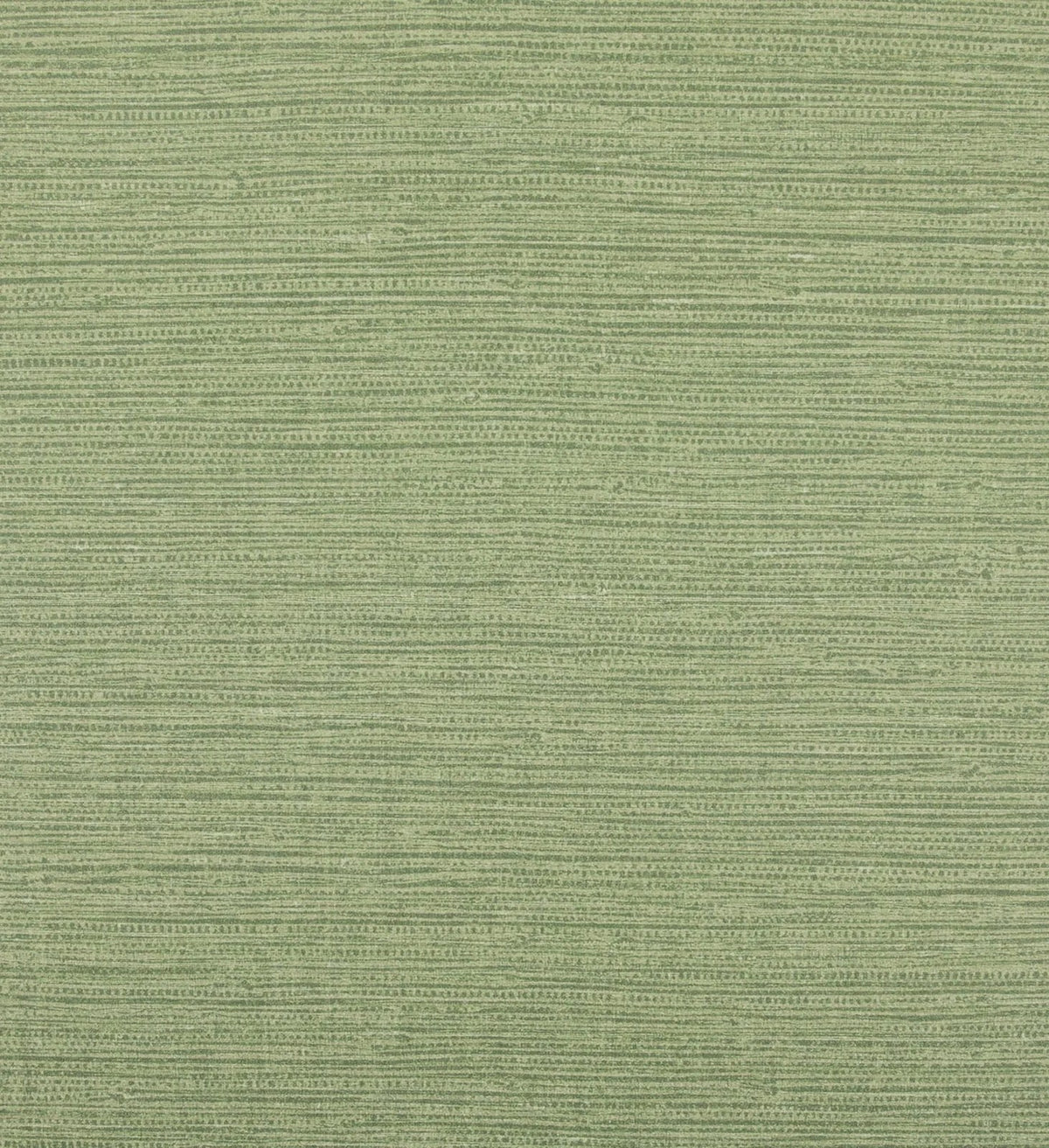 The ReBorn House TRH51625 Wallpaper in green, colorway TRH51625.D, swatch