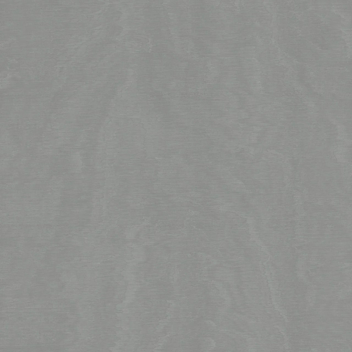 The ReBorn House TRH51649 Wallpaper in grey, colorway TRH51649.A, swatch