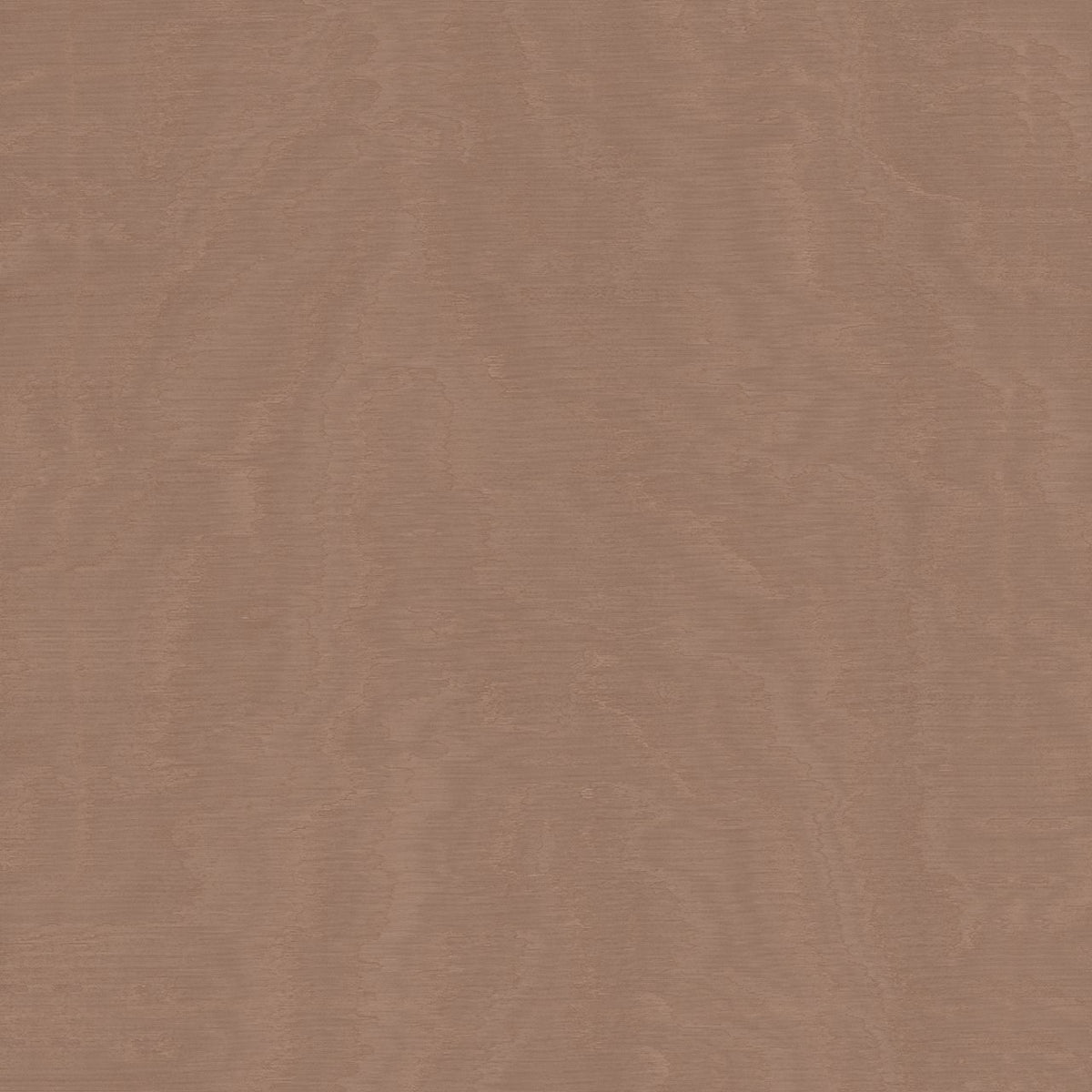 The ReBorn House TRH51651 Wallpaper in brown, colorway TRH51651.A, swatch