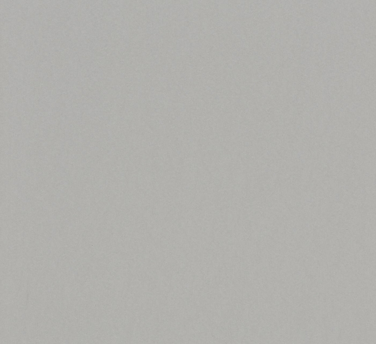 The ReBorn House TRH51665 Wallpaper in grey, colorway TRH51665.A, swatch