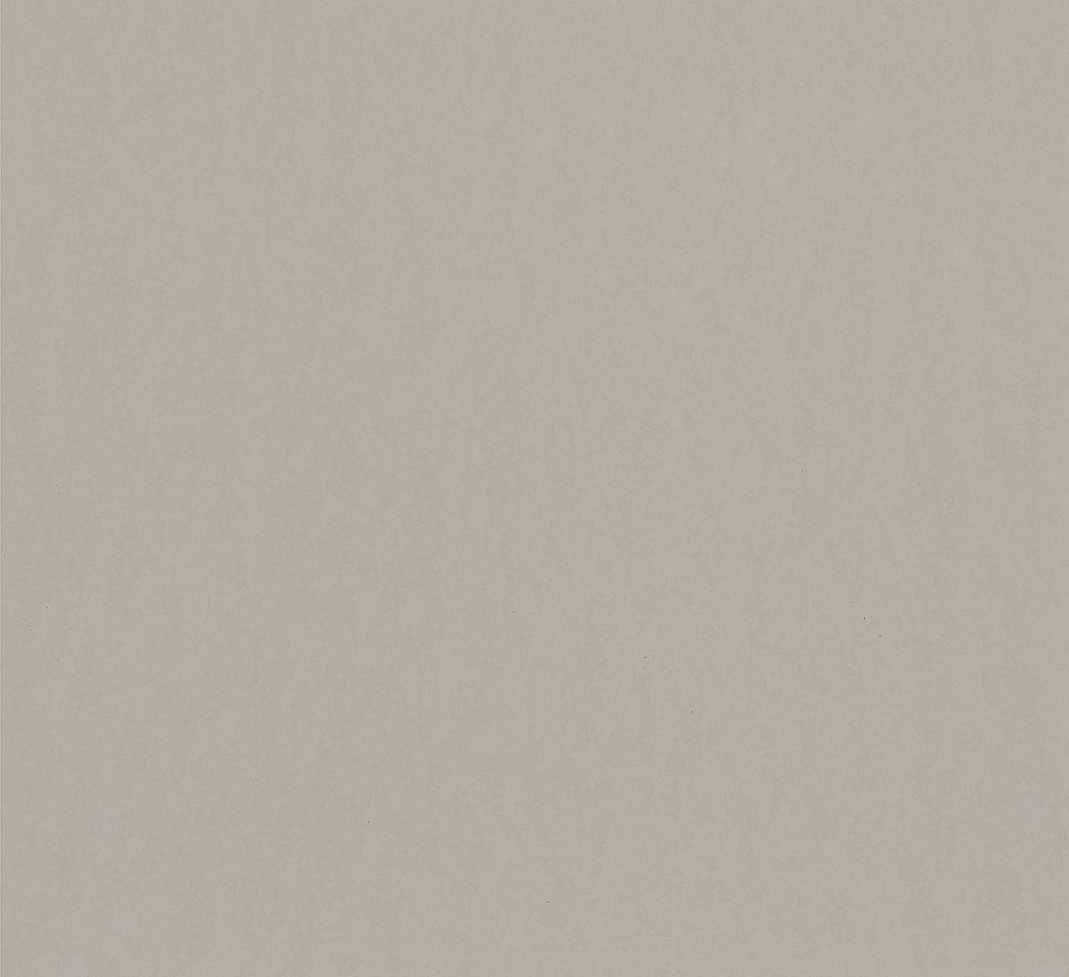 The ReBorn House TRH51666 Wallpaper in grey, colorway TRH51666.A, swatch