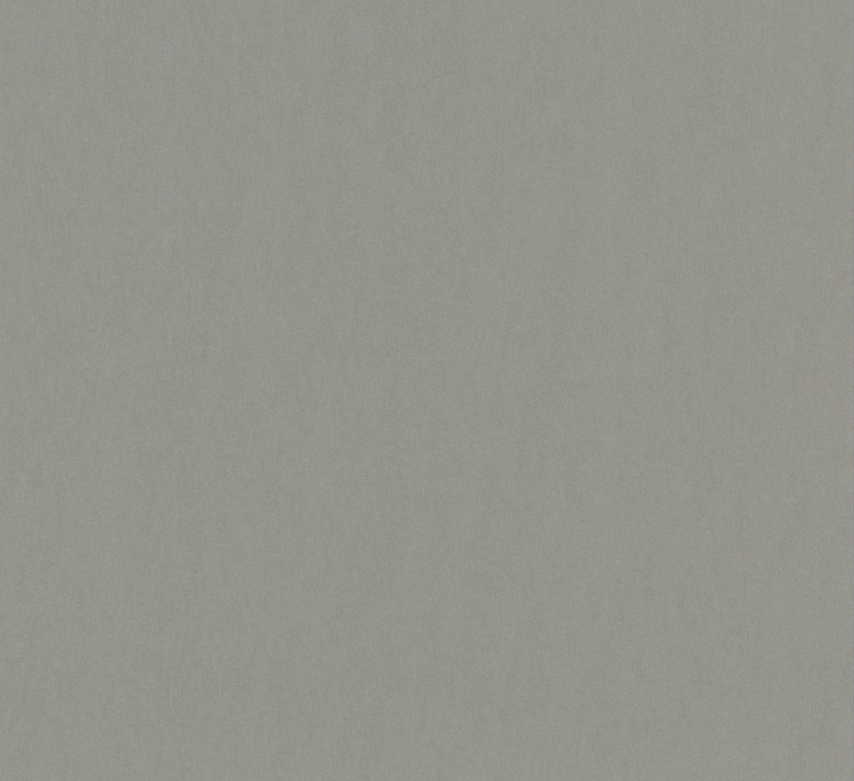 The ReBorn House TRH51668 Wallpaper in grey, colorway TRH51668.A, swatch