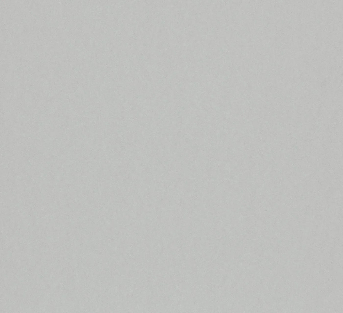 The ReBorn House TRH51676 Wallpaper in grey, colorway TRH51676.A, swatch