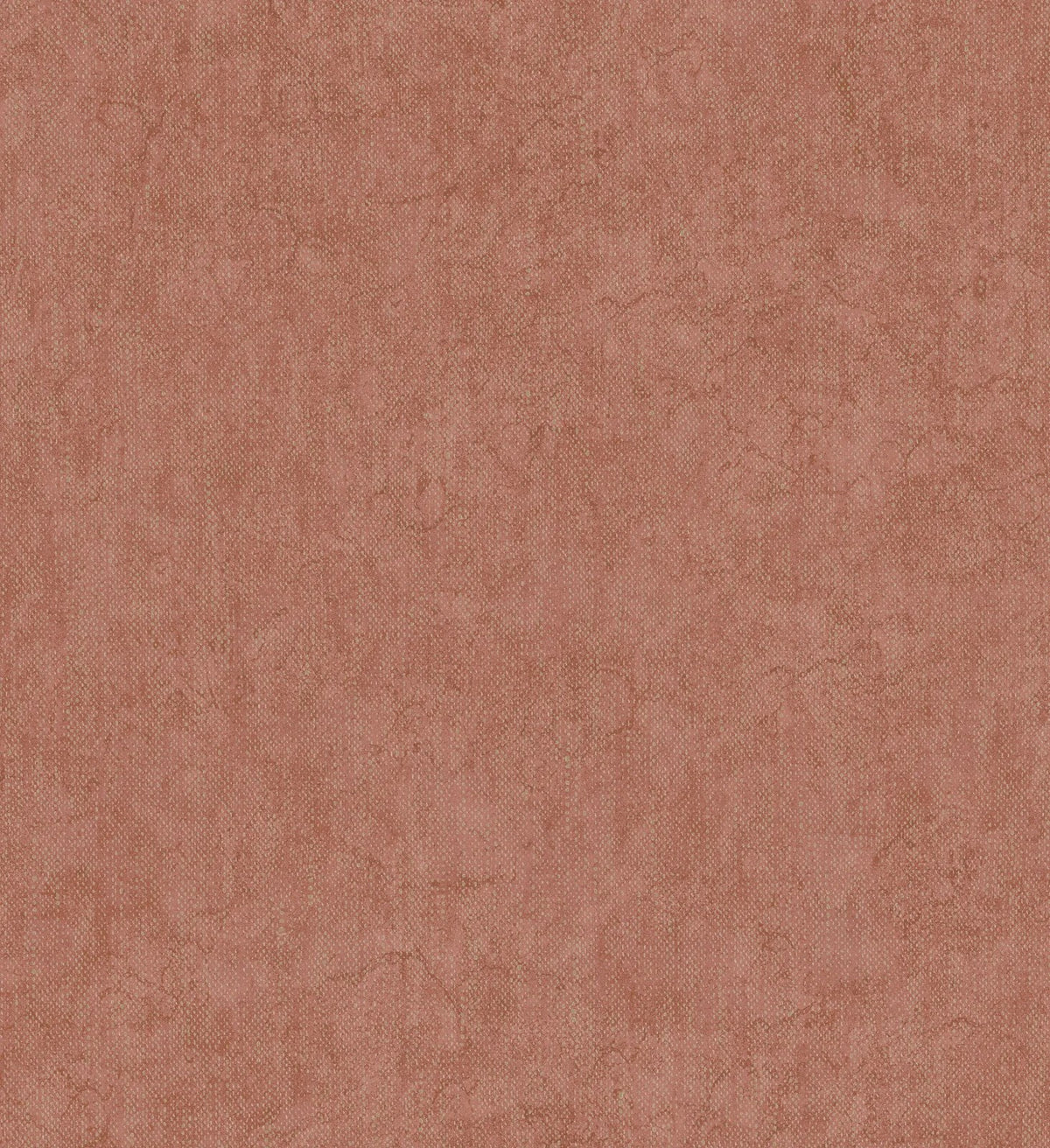 The ReBorn House TRH51681 Wallpaper in brown, colorway TRH51681.D, swatch