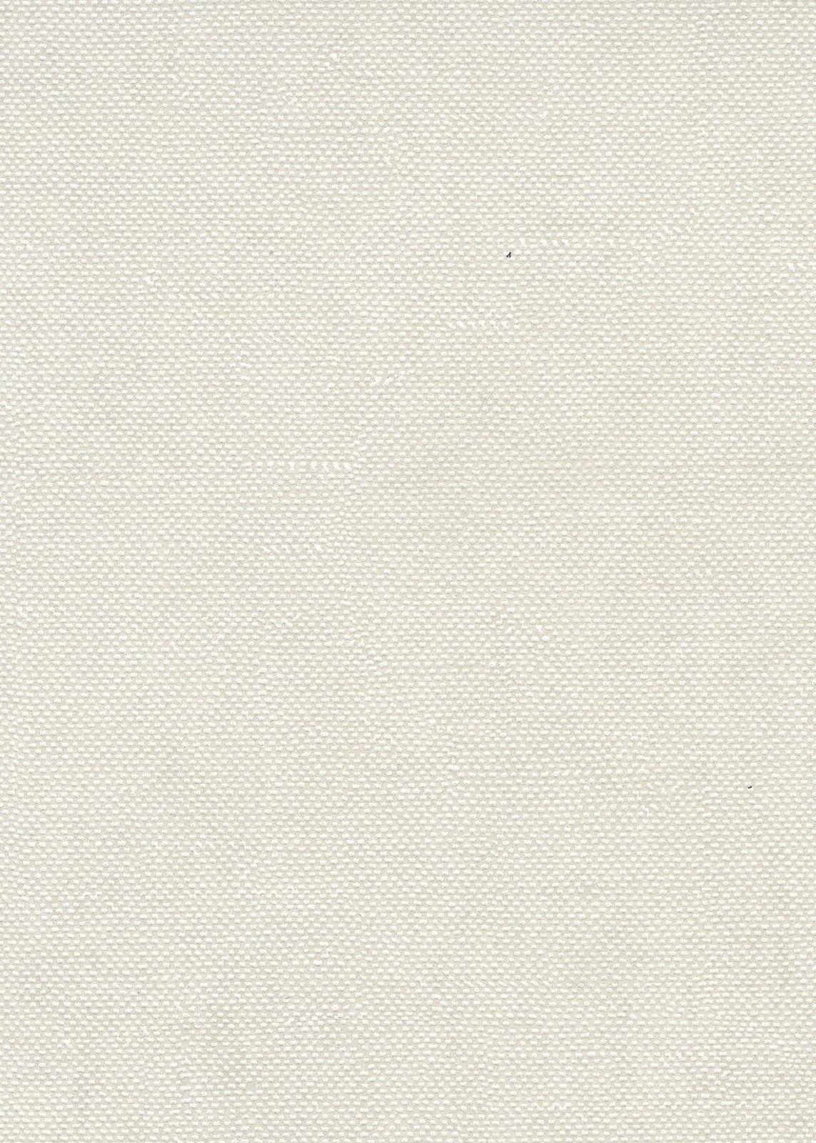 The ReBorn House TRH51687 Wallpaper in white, colorway TRH51687.B, swatch