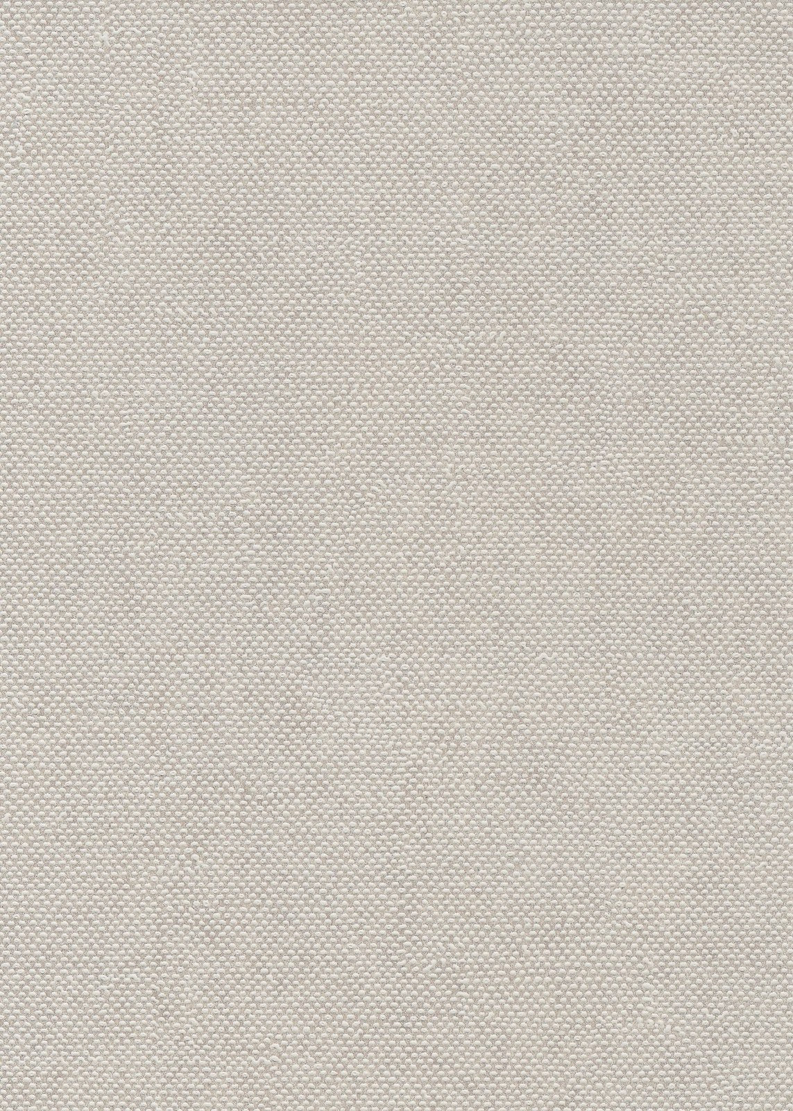 The ReBorn House TRH51687 Wallpaper in grey, colorway TRH51687.E, swatch