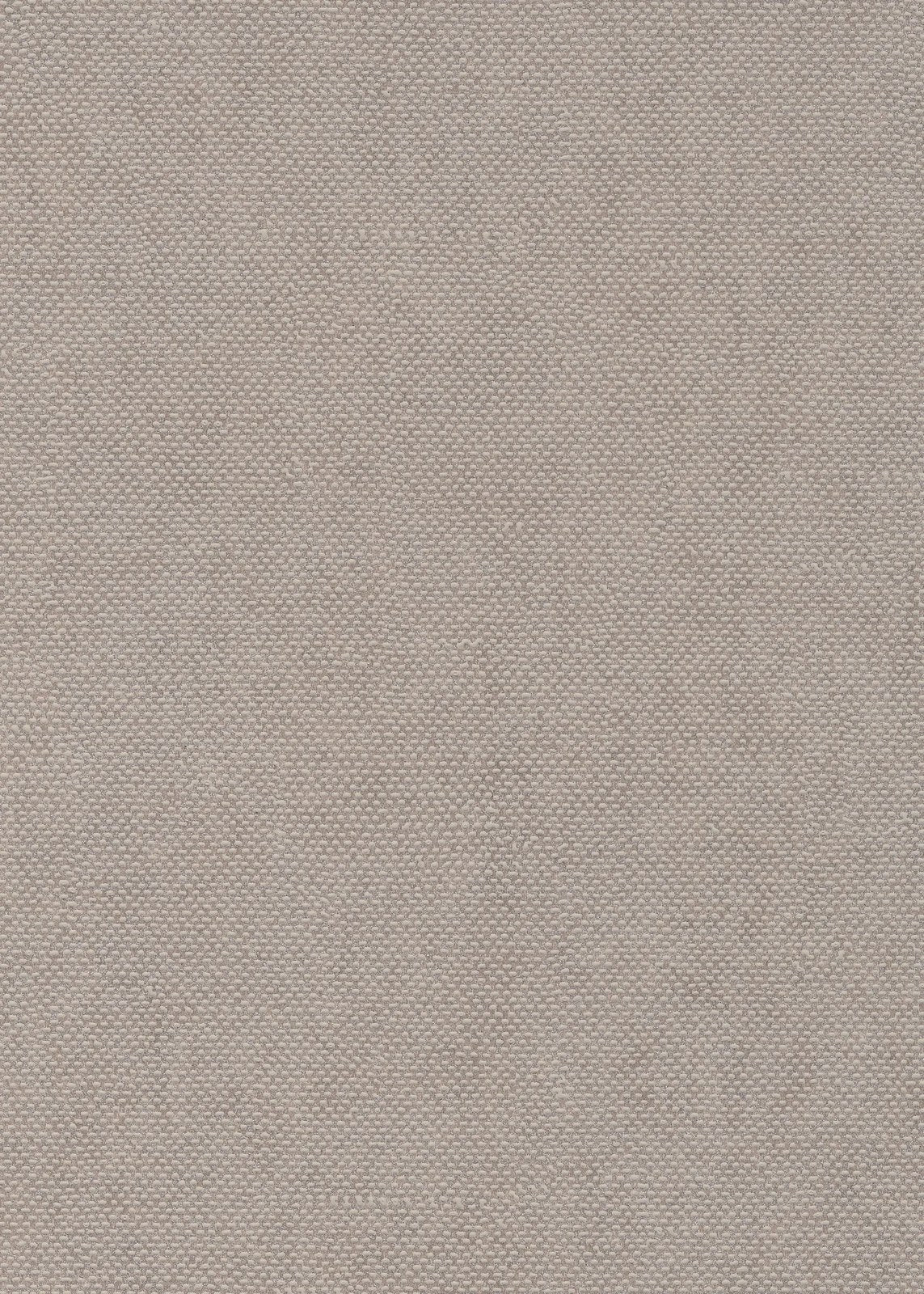 The ReBorn House TRH51687 Wallpaper in grey, colorway TRH51687.F, swatch