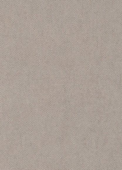 The ReBorn House TRH51687 Wallpaper in grey, colorway TRH51687.F, swatch