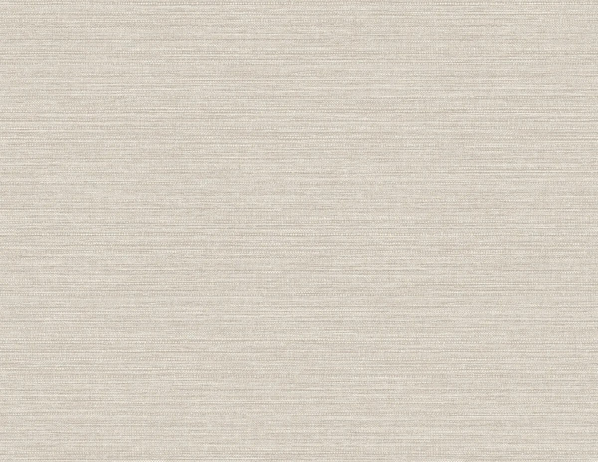 The ReBorn House TRH51709 Wallpaper in neutral and grey, colorway TRH51709.A, swatch
