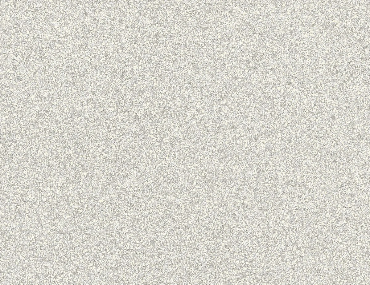 The ReBorn House TRH51739 Wallpaper in grey, colorway TRH51739.A, swatch