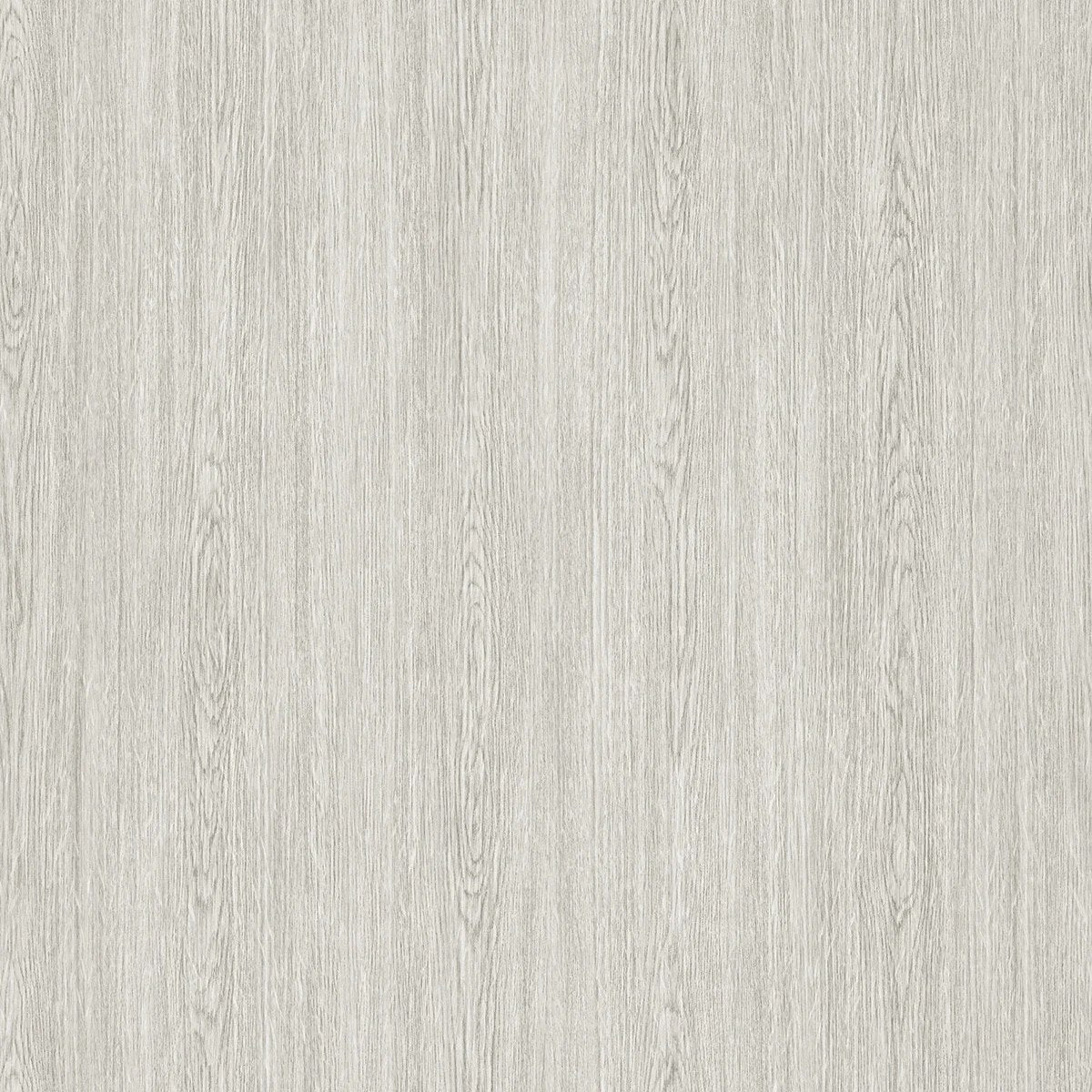 The ReBorn House TRH51776 Wallpaper in grey, colorway TRH51776.A, swatch