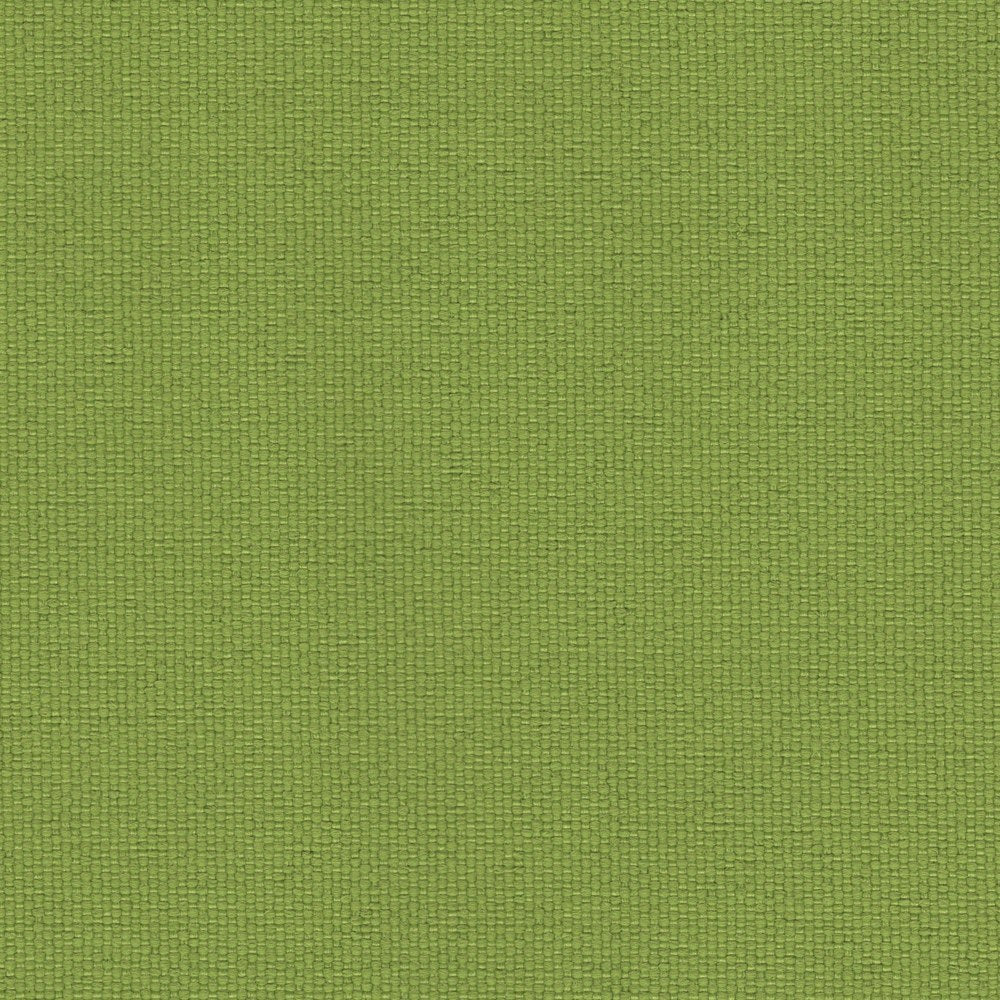 The ReBorn House TRH5632 Outdoor Performance Fabric in Apple, colorway TRH5632.J, canvas in green