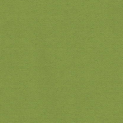 The ReBorn House TRH5632 Outdoor Performance Fabric in Apple, colorway TRH5632.J, canvas in green