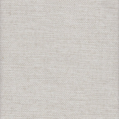 The ReBorn House TRH5641 Performance Fabric in Pearl, colorway TRH5641.G, solid in white