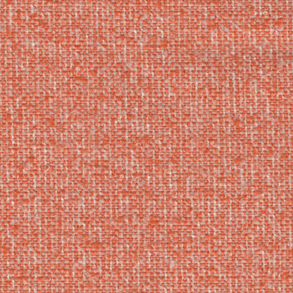 The ReBorn House TRH5645 Outdoor Performance Boucle in Orange, colorway TRH5645.E, boucle in orange