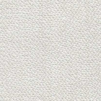 The ReBorn House TRH5646 Performance Boucle in White, colorway TRH5646.A, boucle in white