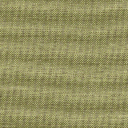 The ReBorn House TRH5655 Outdoor Performance Fabric in Olive, colorway TRH5655.G, canvas in green