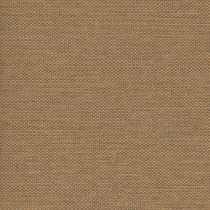 The ReBorn House TRH5655 Outdoor Performance Fabric in Sand, colorway TRH5655.H, canvas in neutral