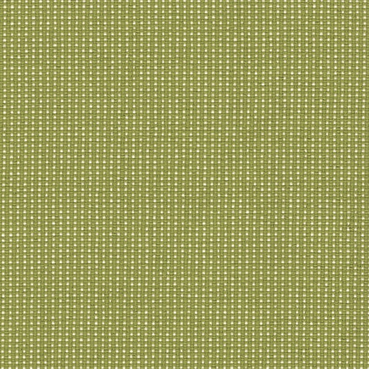 The ReBorn House TRH5664 Outdoor Performance Fabric in Pear, colorway TRH5664.A, solid in green