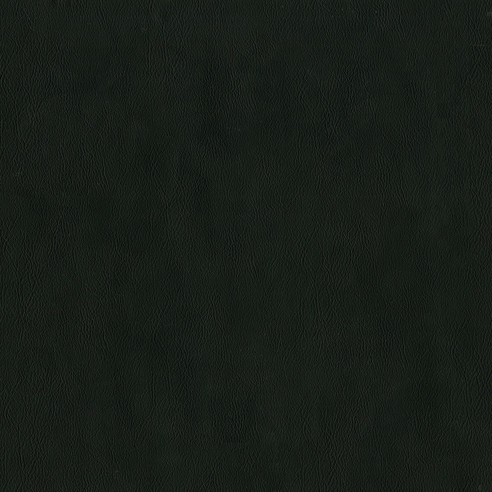 The ReBorn House TRH6001 Performance Vinyl in Raven, colorway TRH6001.A