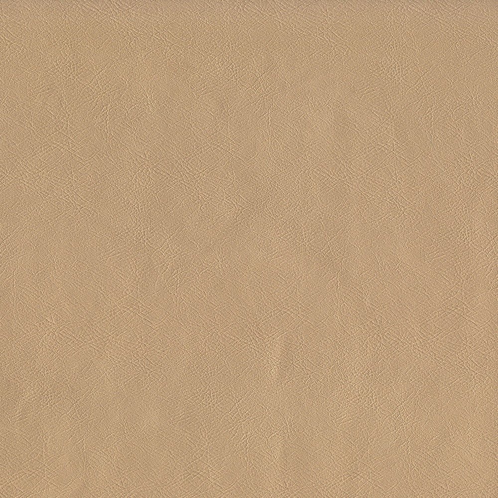 The ReBorn House TRH6001 Performance Vinyl in Champagne, colorway TRH6001.AK