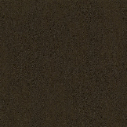 The ReBorn House TRH6001 Performance Vinyl in Tobacco, colorway TRH6001.AN