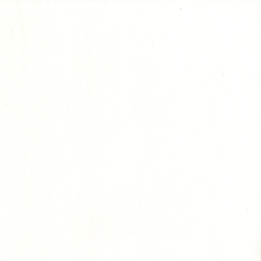 The ReBorn House TRH6001 Performance Vinyl in Mystic White, colorway TRH6001.C