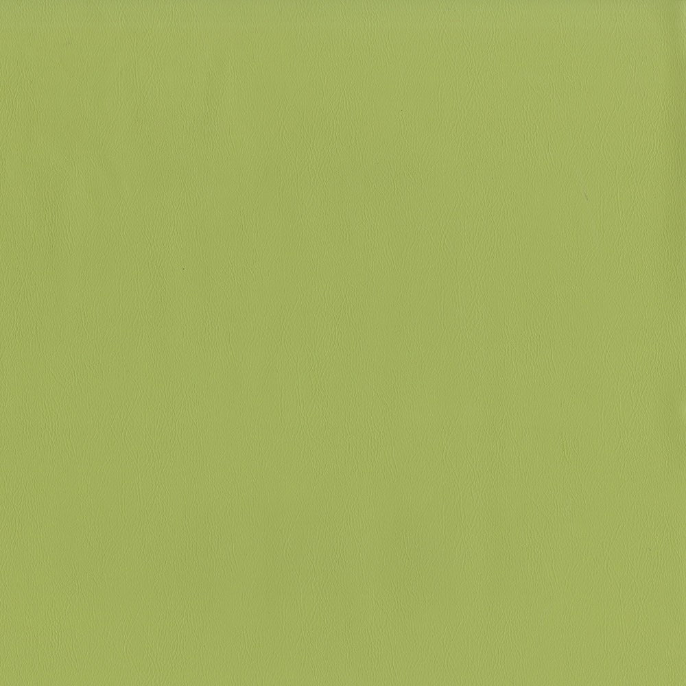 The ReBorn House TRH6001 Performance Vinyl in Meadow, colorway TRH6001.N