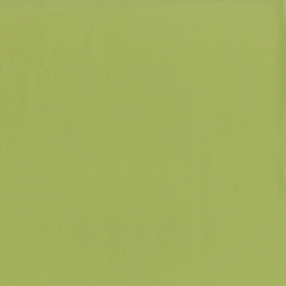 The ReBorn House TRH6001 Performance Vinyl in Meadow, colorway TRH6001.N