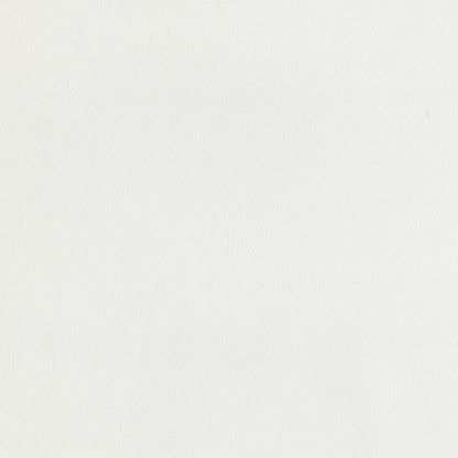 The ReBorn House TRH6001 Performance Vinyl in White Cap, colorway TRH6001.S