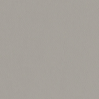 The ReBorn House TRH6002 Performance Faux Leather in Quicksilver, colorway TRH6002.AA