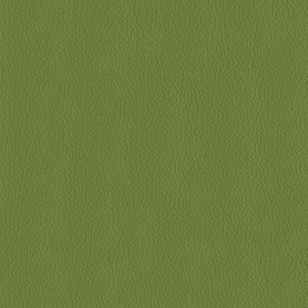 The ReBorn House TRH6002 Performance Faux Leather in Sprig, colorway TRH6002.F