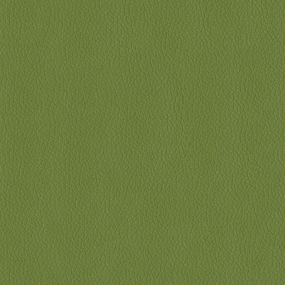 The ReBorn House TRH6002 Performance Faux Leather in Sprig, colorway TRH6002.F