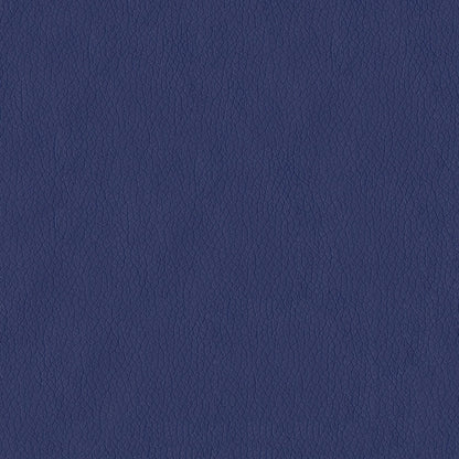 The ReBorn House TRH6002 Performance Faux Leather in Pacific Blue, colorway TRH6002.G