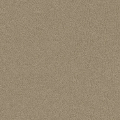 The ReBorn House TRH6002 Performance Faux Leather in Taupe, colorway TRH6002.K